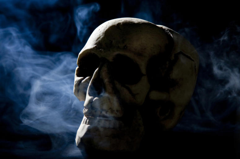 Skull Skull