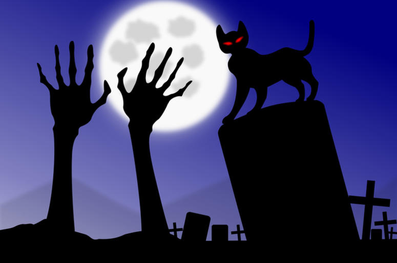 Zombie Cat Zombie Cat
